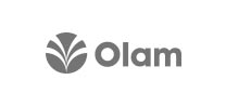 Olam Olam
