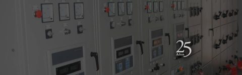 APPLICATIONS OF INDUSTRY VANGUARDS